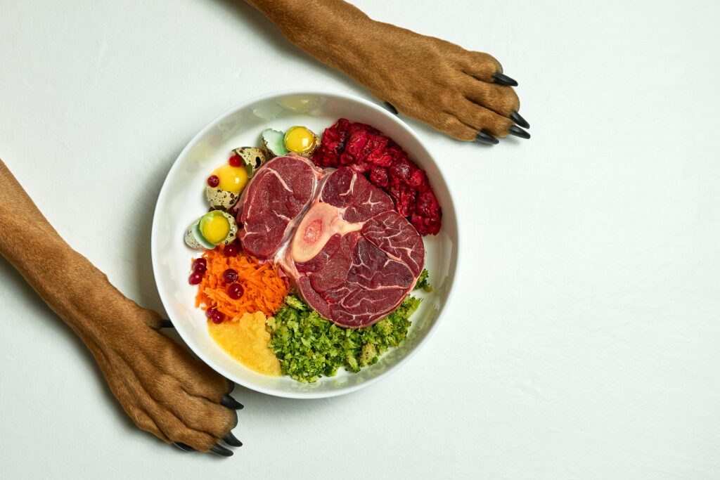 Organic Dog Food Delivery in Arizona – Fresh, Healthy Meals for Your Pup