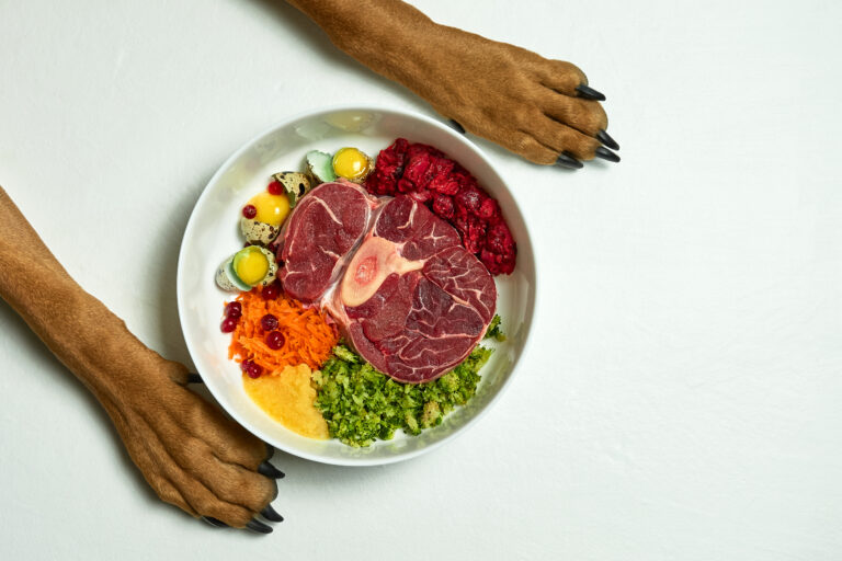 Organic Dog Food Delivery in Arizona – Fresh, Healthy Meals for Your Pup