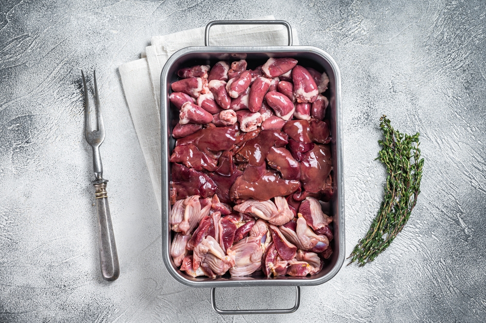  How and Why Protein Is Important in Dog Food