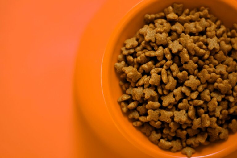 The Myth of Kibble: Why Traditional Dog Food May Not Be as Healthy as You Think